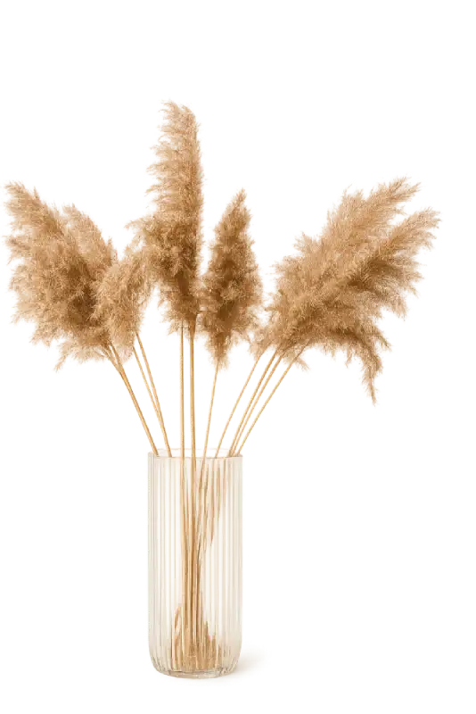 Pampasgras Dekoration